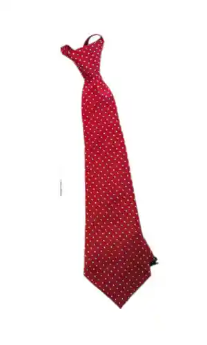 Corbatas De Puntos Burdeo