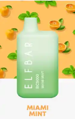 Elfbar Miami Mint