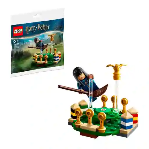 Entrenamiento De Quidditch Lego Harry Potter
