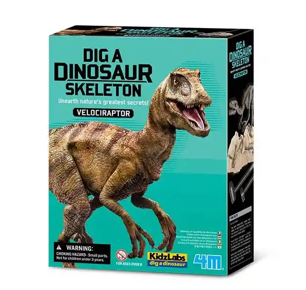 4m Kidzlabs Excava Dinosaurio Velociraptor