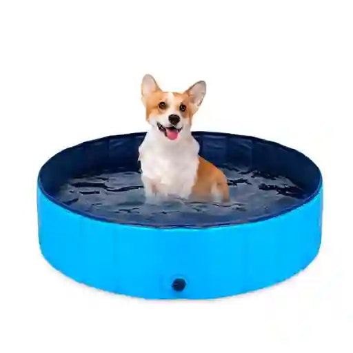 Piscina Para Perros Pet Tub 80 Cm Diámetro X 30 Cm Alto