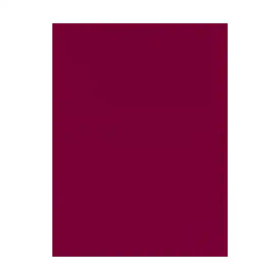 Carton Pintado Pliego 55x77 235grs Color Burdeo