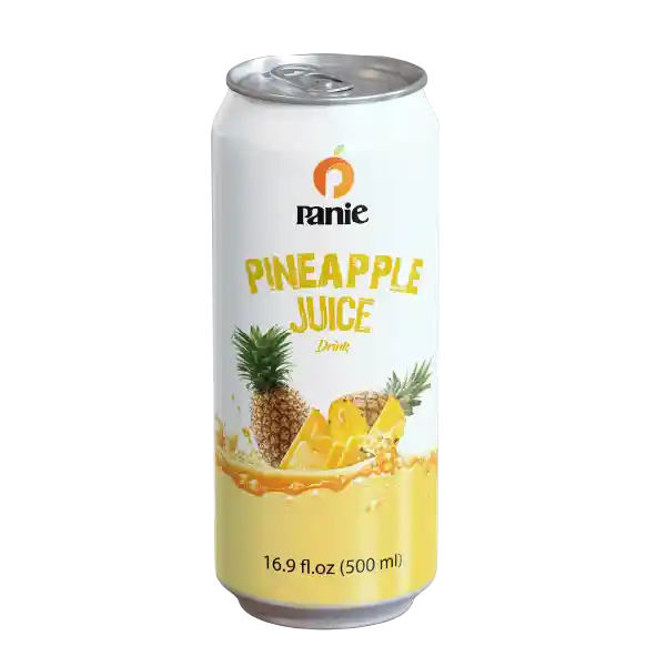 Dr Fruit Piña 500ml