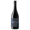 Vino Novas Gran Reserva Pinot Noir