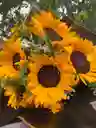 Ramo Girasoles