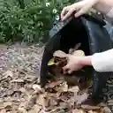 Bolsa Para Compostaje De Jardin Compostbag 40x80cms