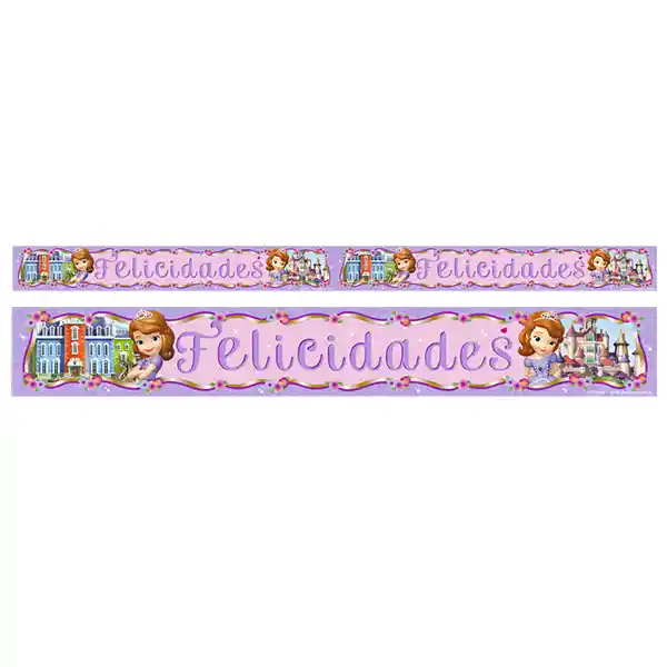 Banner Metalico Princesa Sofia