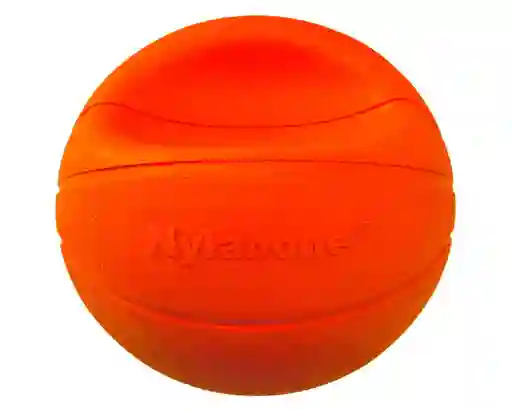 Nylabone Power Play Juguete Outdoor Basketbal Talla L