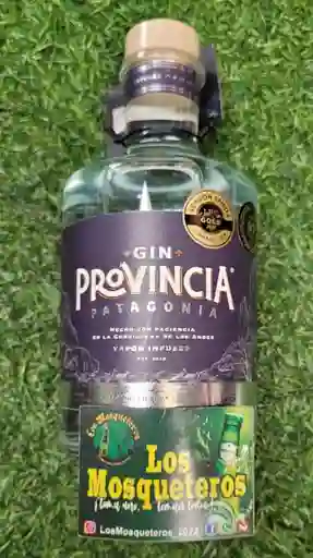 Gin Provincia Patagonia 700 Ml
