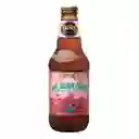 Founders Más Agave Prickly Pear (imperial Gose C/ Tuna Tequila Barrel Aged) Botella 355cc