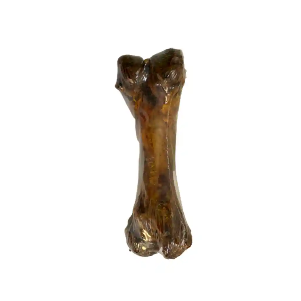 Femur De Cerdo