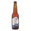 Volcanes Del Sur Strong Lager 650cc