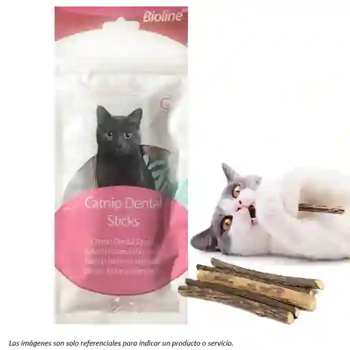 Bioline Dental Stick - Palitos De Catnip 10g