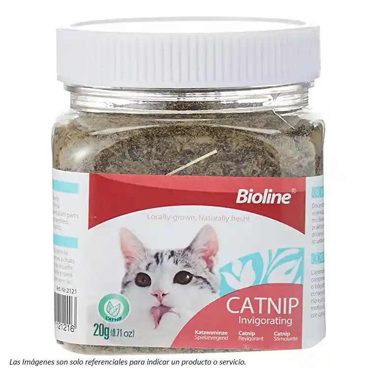 Bioline Catnip Seco En Frasco 20g