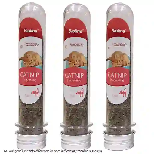 Bioline Catnip Seco En Tubo De 5g