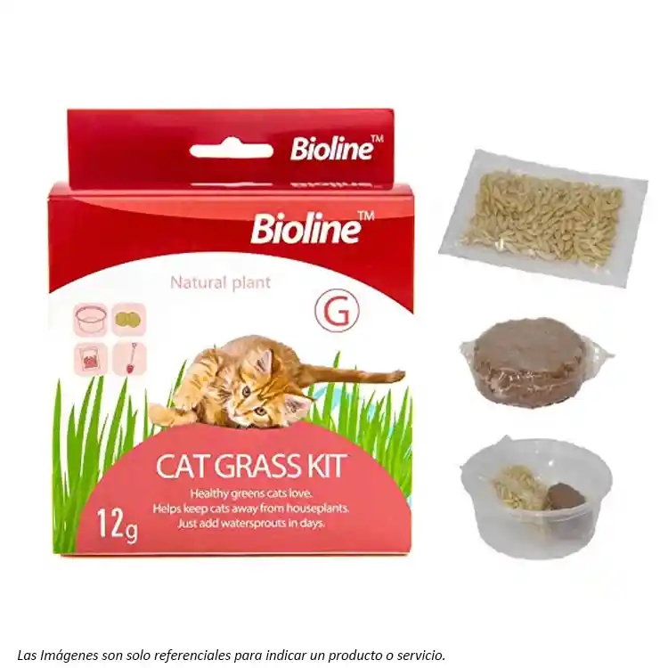 Bioline Kit De Pasto Para Preparar 12g