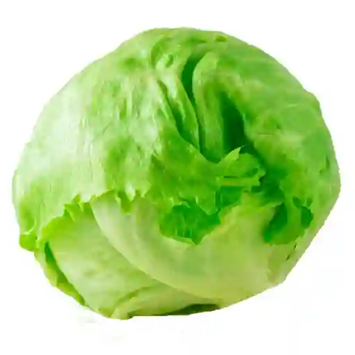 Lechuga Escarola 1u