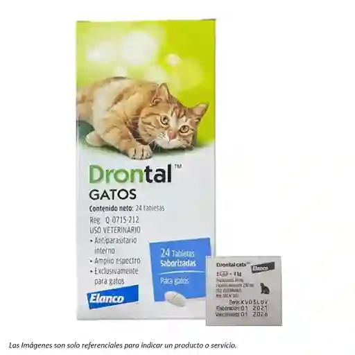 Drontal Cats - Sobre De 1 Comprimido
