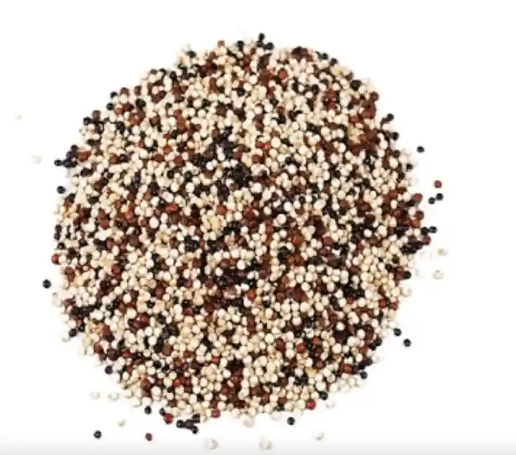 Quinoa Mix 100 Gr