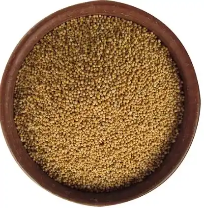 Mostaza Amarilla 100 Gr