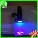 Linterna Tipo Lapiz Led Luz Uv Ultravioleta Laser Pilas De Bolsillo Para Billetes Fluidos