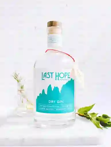 Gin Last Hope Dry