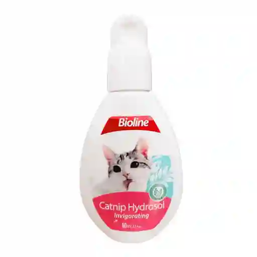 Hydrosol De Catnip