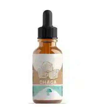 Chaga Fungi Pharma - 30 Ml