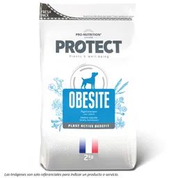 Protect Obesite Canino 12kg Flatazor