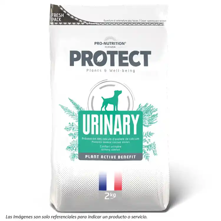 Protect Urinary Canino 12kg Flatazor