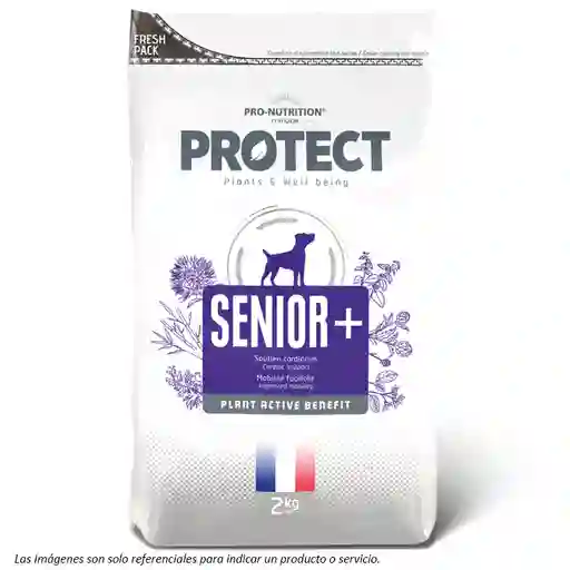 Protect Senior+ Canino (adulto Mayor) 12kg Flatazor