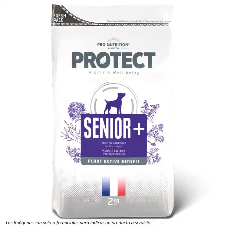 Protect Senior+ Canino (adulto Mayor) 12kg Flatazor