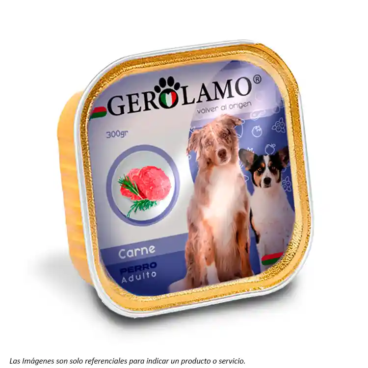 Gerolamo Perro Adulto - Pate Sabor Carne 300g Hercosul