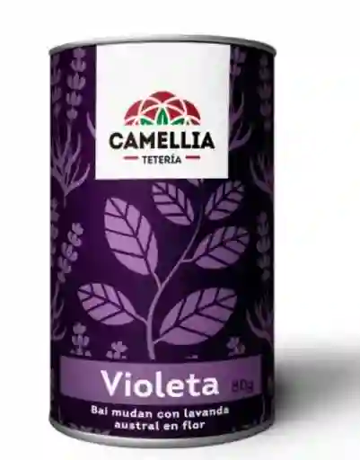 Violeta (tarro)
