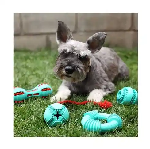 Juguete Para Perro Pelota Dispensadora De Premios 8cm