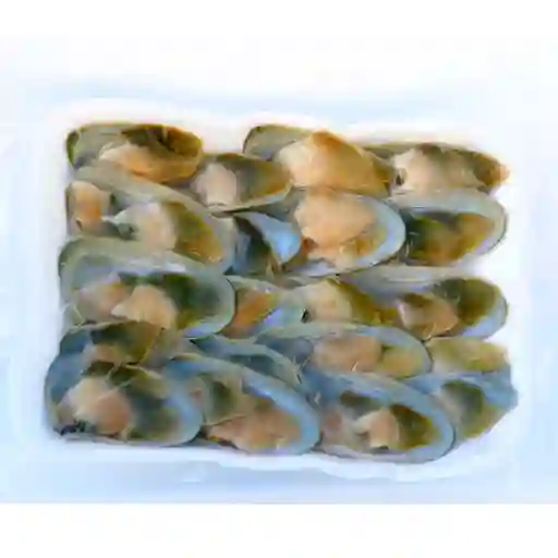 Macha Media Concha 12 Und