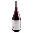 Vino Casas Del Bosque Winemakers Selection Pinot Noir 750 Ml