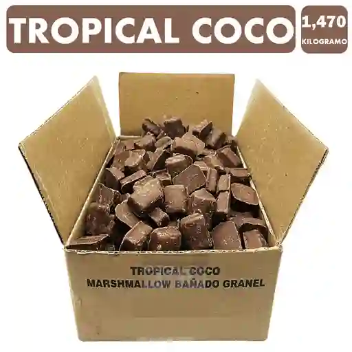 Caja Tropical Coco De 1,470kg Marca Arcor