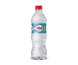 Agua Natural Vital, 600 Ml