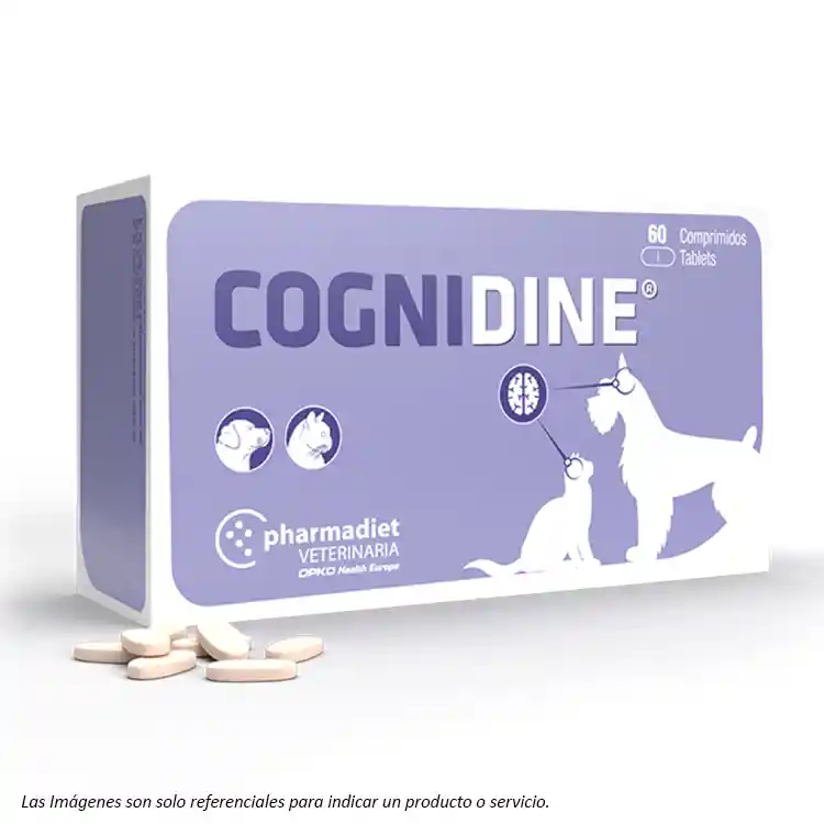 Pharmadiet - Cognidine 60 Comprimidos