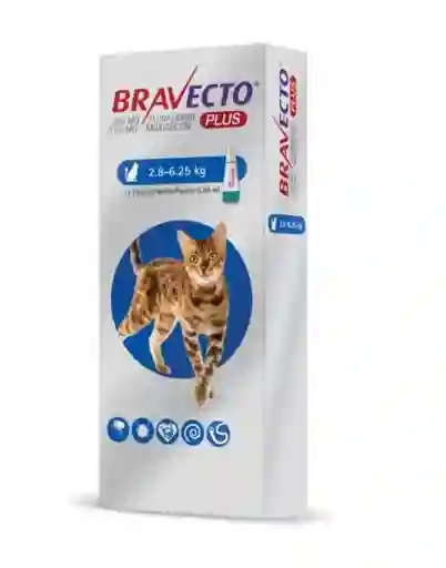Bravecto Plus Para Gatos 2.8 A 6.25 Kg