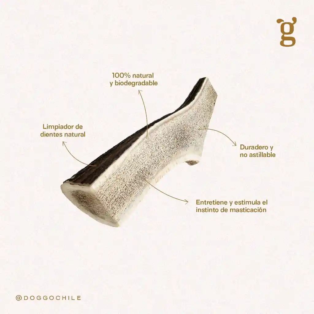 Hueso De Astas De Ciervo P