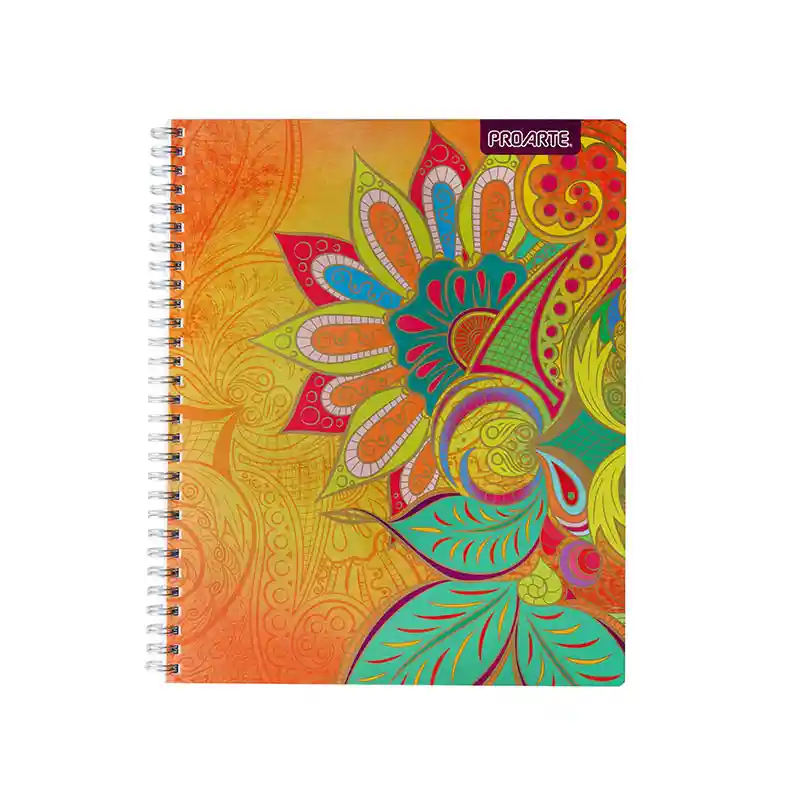 Pack 10 Cuadernos Universitario 100h 7mm Proarte Niñas