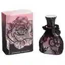 Omerta Lazy Nights Edp 100 Ml