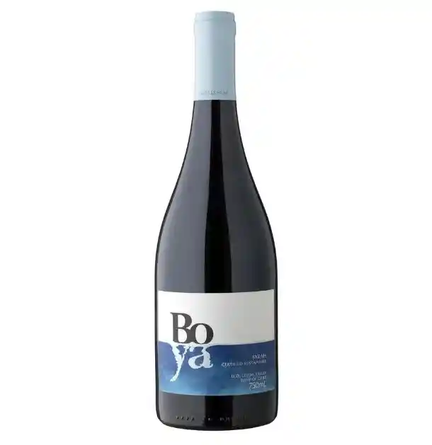 Vino Boya Syrah 750cc