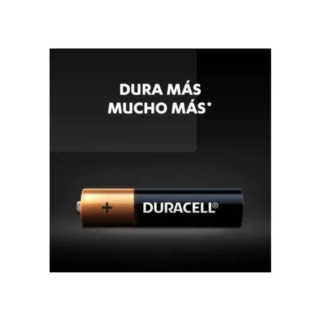 Pila Alcalina Duracell Aaa 1.5v