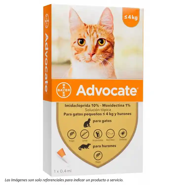 Advocate Antiparasitario Para Gatos Hasta 4kg