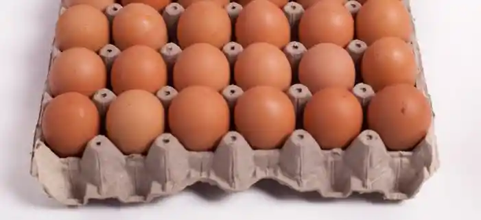 Huevos De Color, 20 Unidades Grandes