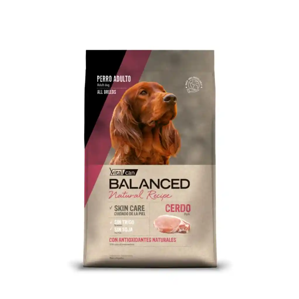 Vitalcan Balanced Natural Recipe Cerdo