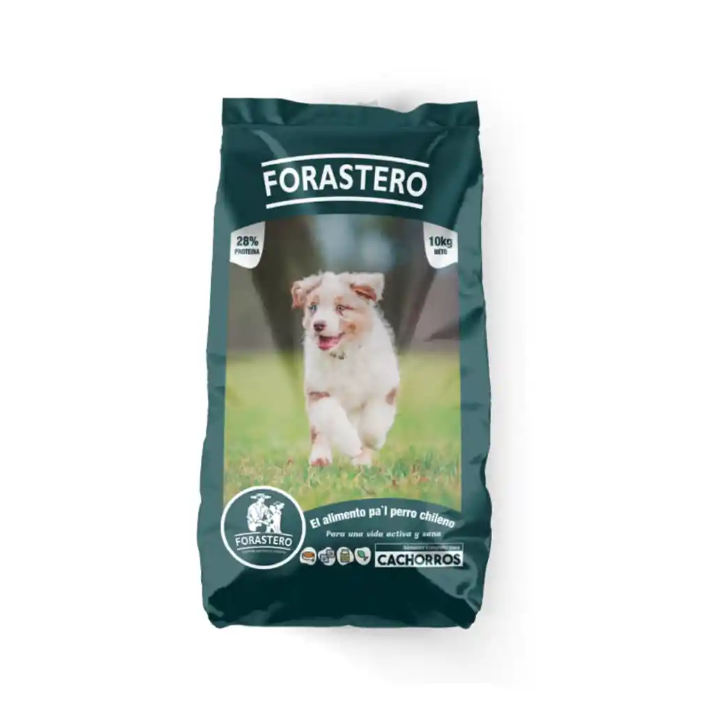 Forastero Cachorros 10 Kg